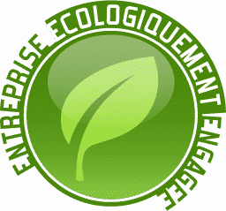 logo d'une feuille verte hébergement web écologique infomaniak : logo pour une entreprise verte est engagé.